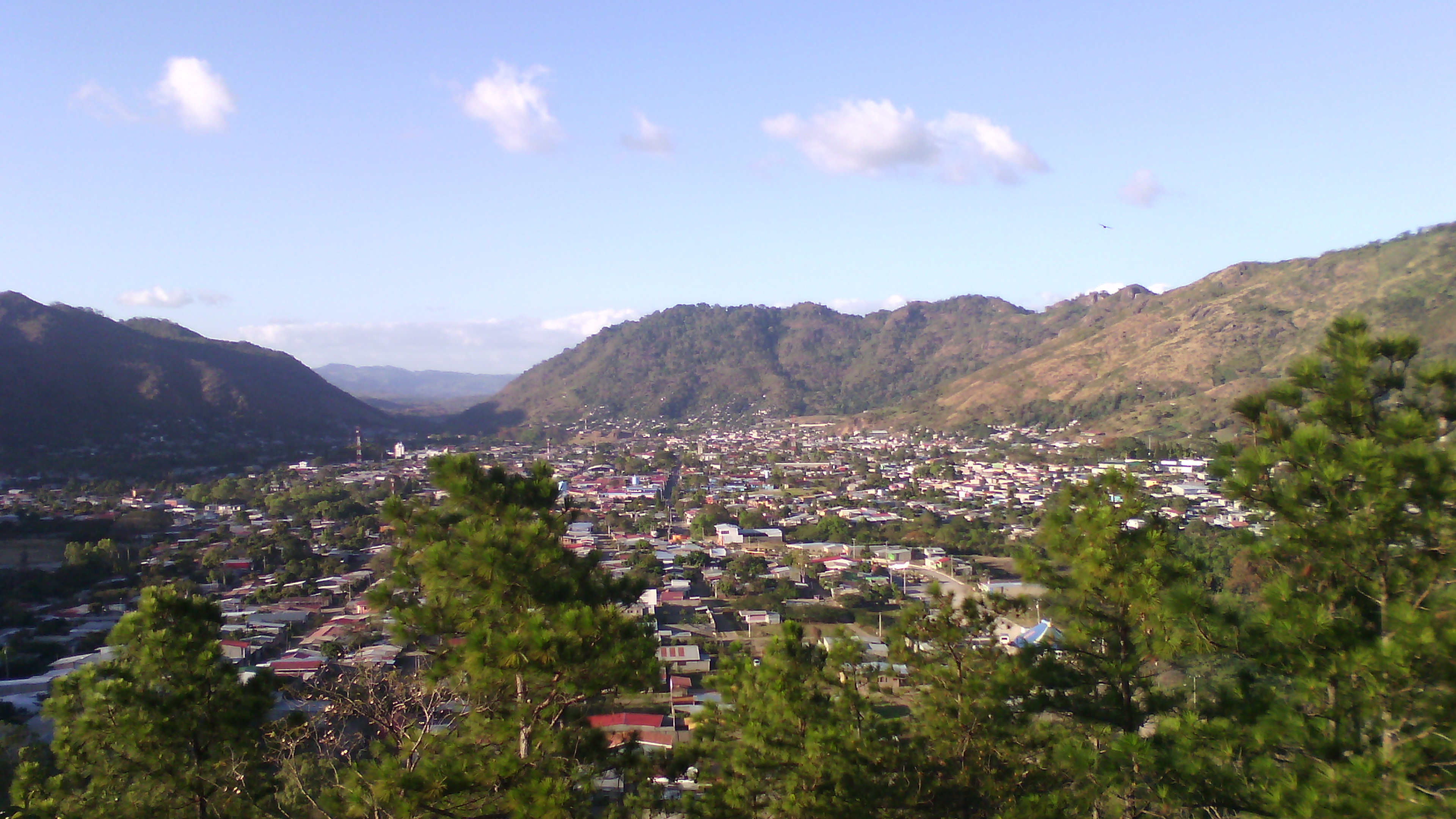 JINOTEGA